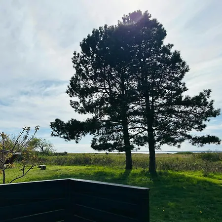 Log In The Front Row Overlooking The Sea Tranekær