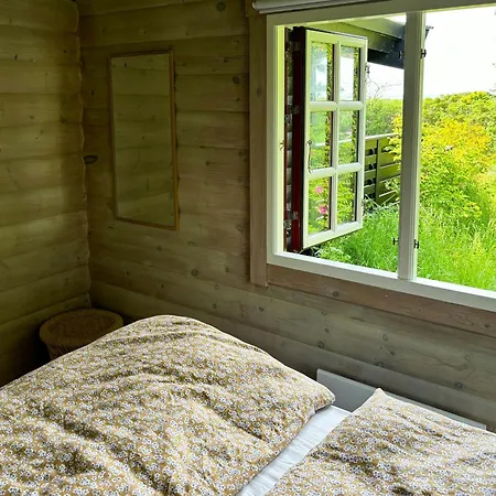 Log In The Front Row Overlooking The Sea *